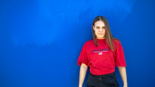 Embroidered polo shirt